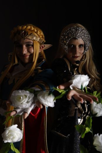 chara lady gaga et zelda (14).JPG